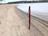 What Size Hook Should You Use for Bass Fishing?