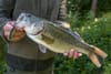 Bass Fishing for Beginners